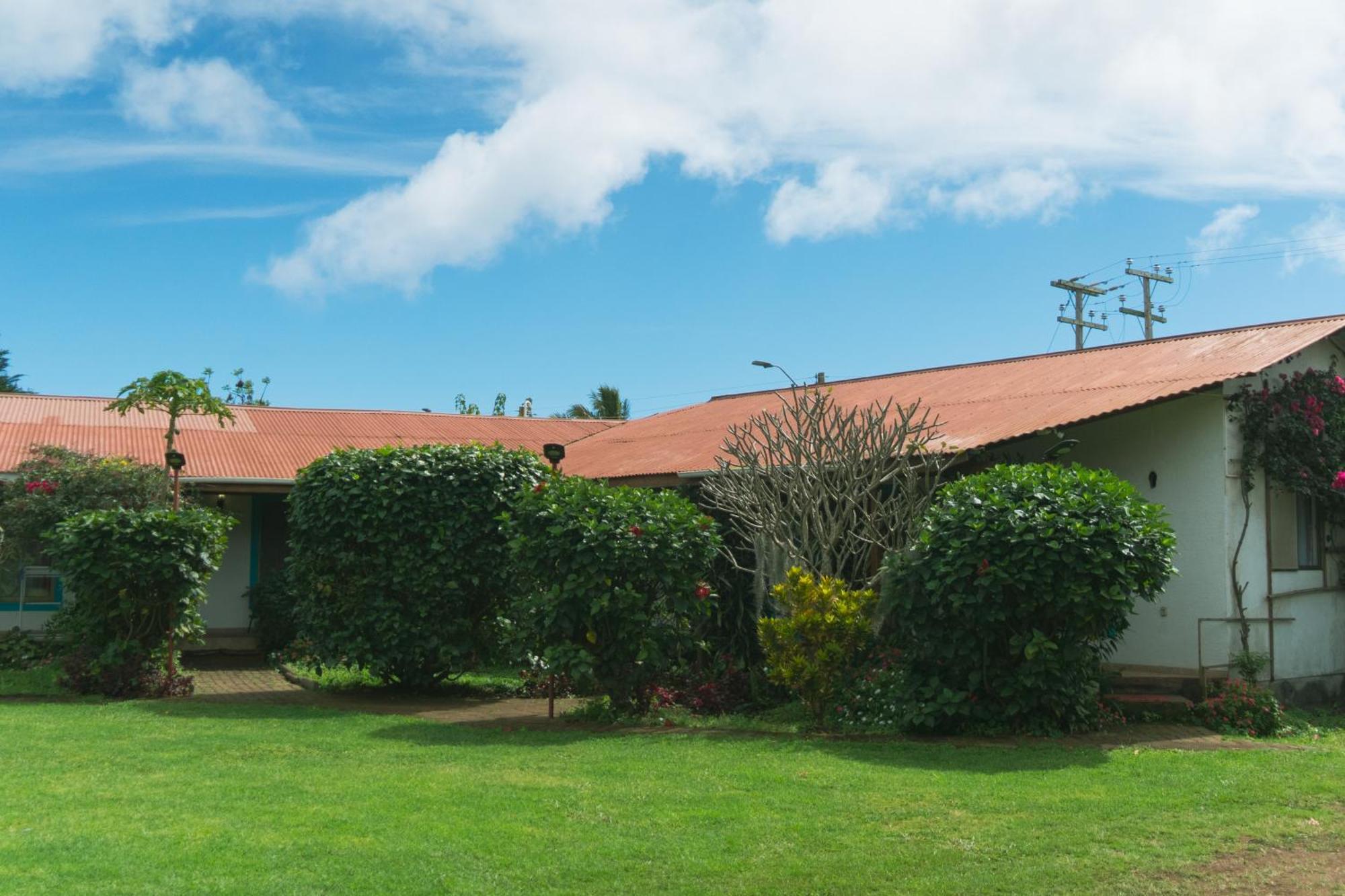Y Aorangi Hostel *
