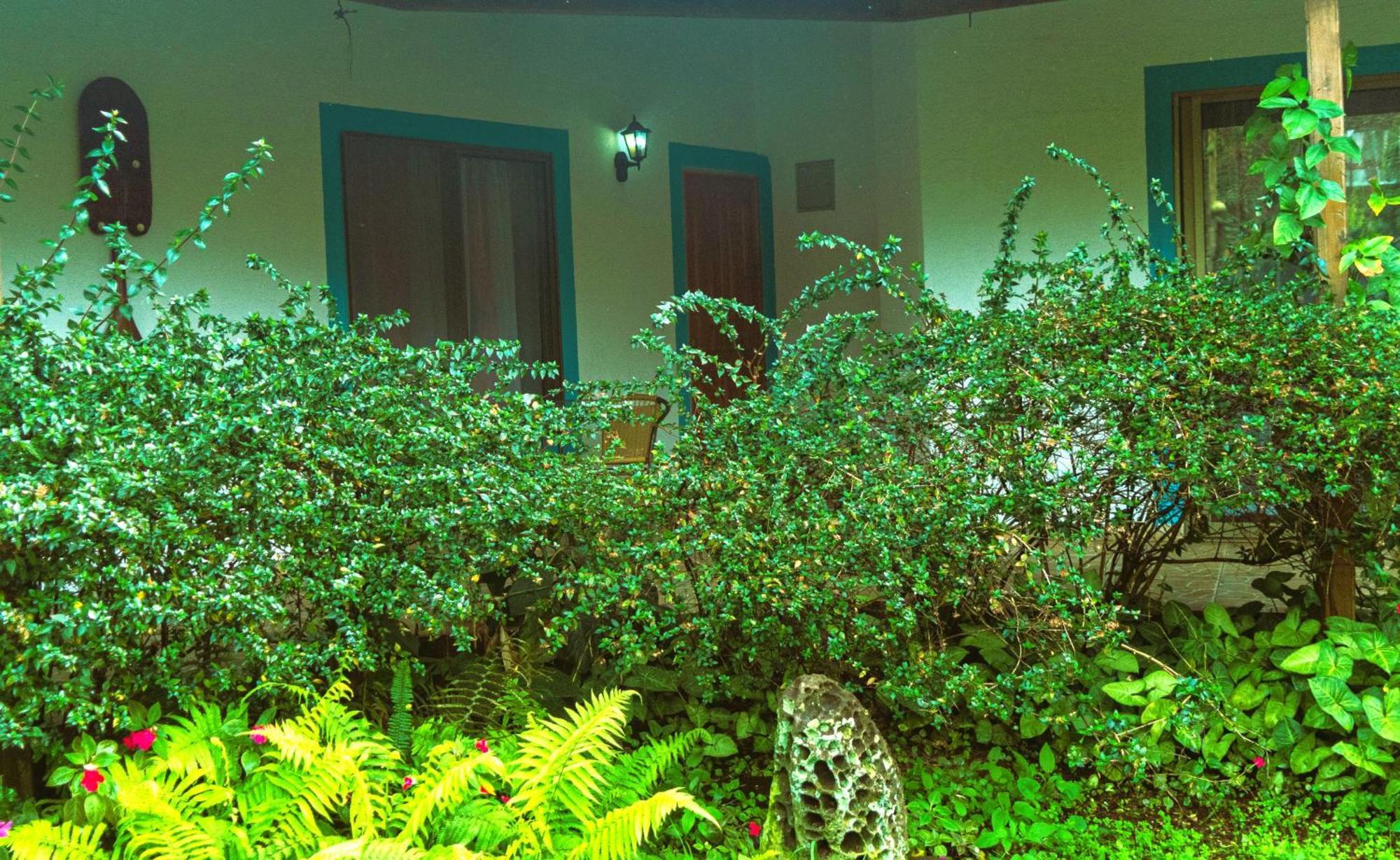 Hostel Y Aorangi *